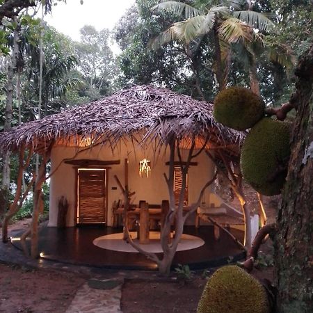 Ella Retreat Hotel Villa For Nature Lovers Exterior foto